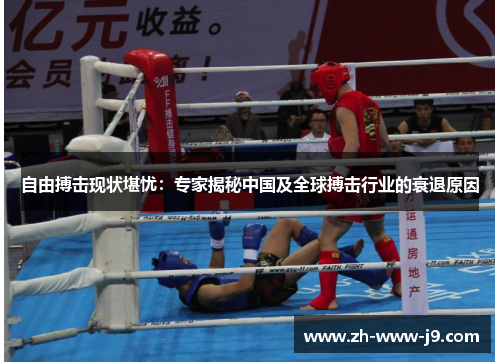 自由搏击现状堪忧：专家揭秘中国及全球搏击行业的衰退原因